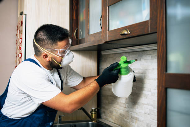  Kingston, RI Pest Control Pros