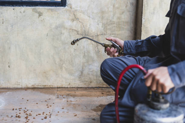 Best Affordable Pest Control Services  in Kingston, RI